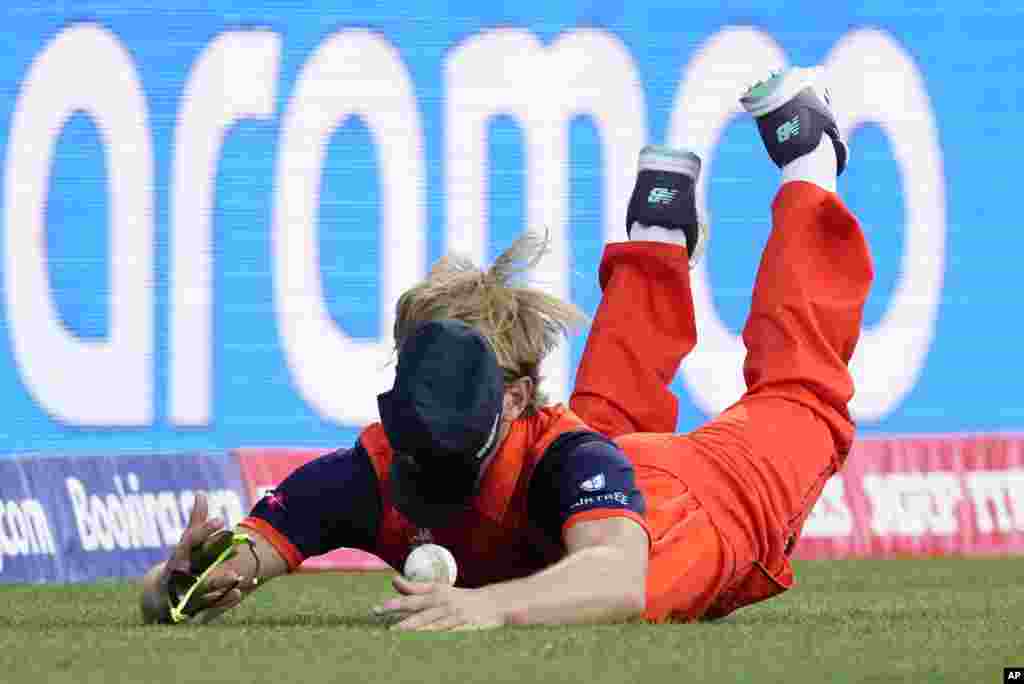 Netherlands' Bas de Leede dives to field the ball during the T20 World Cup cricket match between India and the Netherlands in Sydney, Australia.