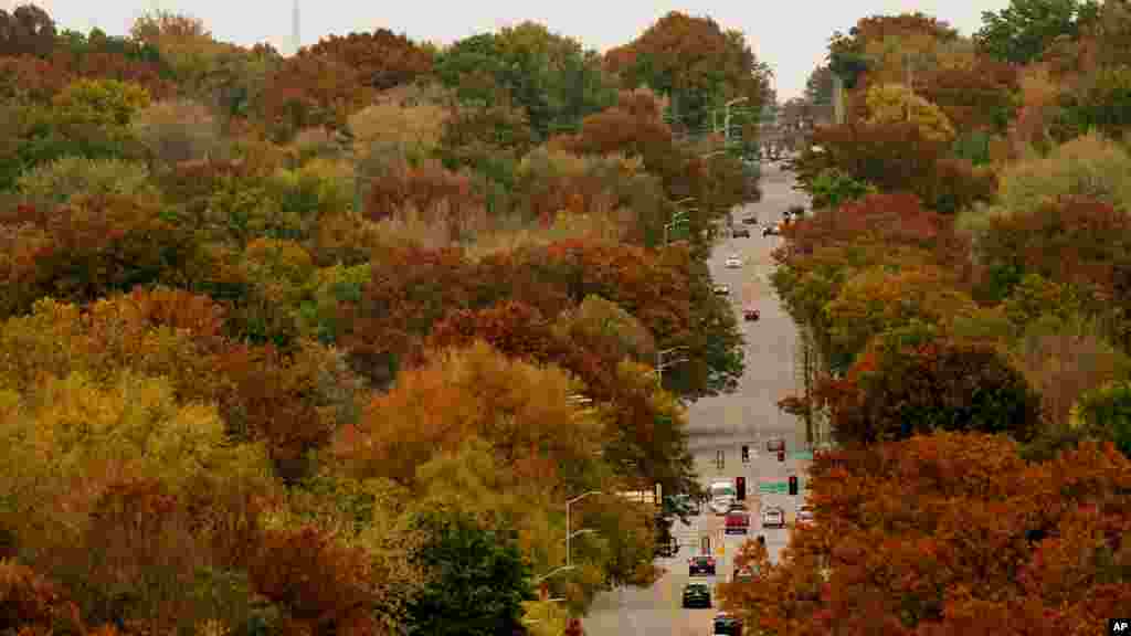 Trees displaying fall colors flank a roadway through neighborhoods in Overland Park, Kan., Oct. 27, 2022.