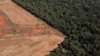 Deforestasi tampak merajalela di dekat hutan di perbatasan antara Amazonia dan Cerrado di Nova Xavantina, negara bagian Mato Grosso, Brazil, 28 Juli 2021. (Foto: REUTERS/Amanda Perobelli)