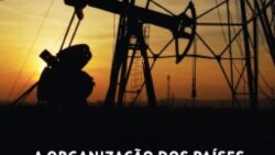 Govenro angolano errou ao ssumir preços de petroleo altos - 21:40