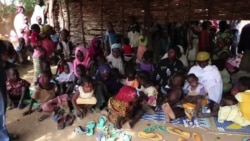 Scientists: Mosquitoes Attracted By Our Genes