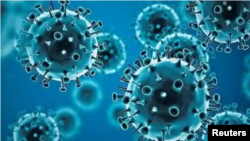 似曾相识又一年。新冠病毒最新变异毒株奥密克绒给准备度假过节的全球民众带来新的威胁。