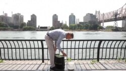 Scientists Track Animal Species Through DNA Trails