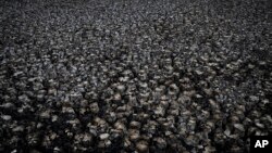 Cracks in the mud are visible in a dry wetland in Doñana natural park, southwest Spain, Wednesday, Oct. 19, 2022. Farming and tourism had already drained the aquifer. Then climate change hit Spain with record-high temperatures and a prolonged drought. (AP Photo/Bernat Armangue)
