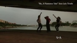 የፊልም ፌስቲቫል በዋሽንግተን ዲሲ