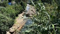 ዐድዋ ድልድይ