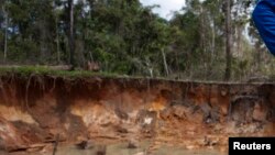 Wani wajen hakar zinare