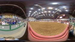 Texas Rodeo 1