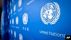 U.N. logo pattern a press conference background at the United Nations headquarters, Tuesday, Sept. 3, 2013. (AP Photo/Bebeto Matthews)