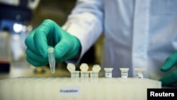 រូបឯកសារ៖ បុគ្គលិក​ម្នាក់​នៃ​ក្រុមហ៊ុន​ជីវ​បច្ចេកវិទ្យា​របស់​អាល្លឺម៉ង់ CureVac បង្ហាញ​ពី​ដំណើរ​នៃ​ការងារស្រាវជ្រាវ​វ៉ាក់សាំង​ការពារ​ជំងឺ​កូវីដ១៩ នៅ​មន្ទីរពិសោធន៍​មួយ​កន្លែង​ក្នុង​ទីក្រុង​Tuebingen នៃ​ប្រទេស​អាល្លឺម៉ង់ កាលពី​ថ្ងៃទី១២ ខែមីនា ឆ្នាំ២០២០។