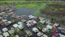 Як трагедія на батьківщині об’єднала громаду пуерто-ріканців у Нью-Йорку. Відео