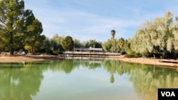 地處洛杉磯和拉斯維加斯之間依山傍水的沙漠農場是洛杉磯民主平台和中國民主黨洛杉磯委員會成員經常聚會的地方。