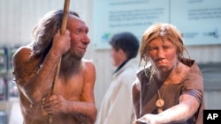 اولین نشانه‌ها از نئاندرتال‌های اولیه به حدود ۱۳۰٫۰۰۰ تا ۲۳۰٫۰۰۰ سال پیش در اروپا برمی‌گردد.