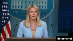 کارولین لویت، سخنگوی کاخ سفید - آرشیو
