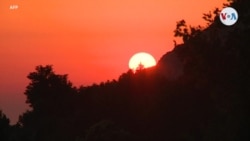 Los efectos de la luz solar en el cerebro