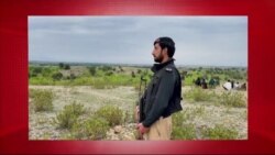 د ډیوه د روانو چارو خپرونه په ټي وي
