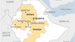 "የህወሓት ታጣቂዎች ከኦነግ ሸኔ ጋር ተደባልቀው አየተንቀሳቀሱ ነው" - የኦሮምያ ክልላዊ መንግሥት