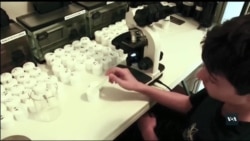 12-річний науковець шукає шляхи подолати ракові захворювання. Відео