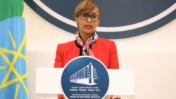 "የሸኔ እና የህወሓት አጋርነት አዲስ ነገር አይደለም" - ቢል ለኔ ስዩም