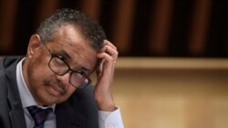 Ethiopie: l'armée accuse le directeur de l'OMS de soutenir le Tigré