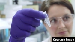 The U.S.-based company Catalog has reported it also has successfully created a process that uses artificial DNA to store digital information.(Catalog)