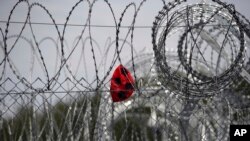Arhiva - Probušena lopta visi na bodljikavoj žici teško utvrđenog kampa na granici Srbije i Mađarske, u blizini Horgoša, 19. septembra 2017.