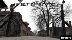 Нацистський табір смерті Auschwitz