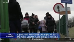 6.8 milionë refugjatë ukrainas në botë