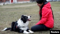 Postdoctoral researcher Laura V. Cuaya talks to her dog Kun-kun, an 8-year-old Border Collie, at the Ethology Department of the Eotvos Lorand University in Budapest, Hungary, January 5, 2022. (REUTERS/Bernadett Szabo)