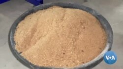 Falta de ração reduziu produção de peixes em cativeiro em Malanje 