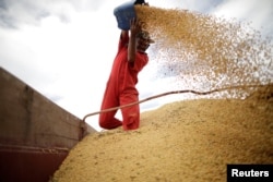 FILE - A worker inspects soybeans during the soy harvest near the town of Campos Lindos, Brazil, Feb. 18, 2018.