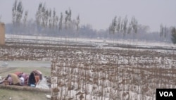 Musim dingin yang mulai melanda Afghanistan, mengancam jutaan warga mengalami kelaparan akibat minimnya persediaan pangan. (Foto: VOA)