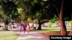 外國人在美產子並不違法，但是，從業人員為了商機而鑽制度漏洞使得該行為灰色化。圖為加州洛杉磯某公園內散步的中國孕婦。(照片由讀者提供)