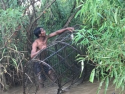 លោក ម៉ម ចេប លើក​លបចាប់ត្រី​ ក្នុង​ទន្លេមេគង្គ ខេត្តក្រចេះ ថ្ងៃទី​១៧ ខែកក្កដា ឆ្នាំ​២០២០។ (ហ៊ុល រស្មី/វីអូអេ)