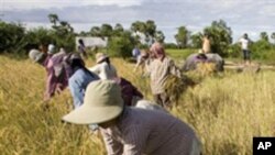 ក្រសួង​កសិកម្ម​ណែនាំ​អំពី​របៀប​នាំ​ចេញ​ទៅ​ប្រទេស​ចិន