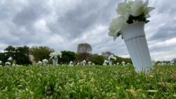 Cveće u pomen žrtava oružanog nasilja