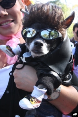 Halloween in New York City