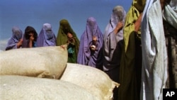 د ملګرو ملتونو د اټکل له مخې شاوخوا ۱۵ میلیونه افغانان به په روان ژمي کې د خوړو د خوندیوب په برخه کې د بحران او د بیړني حالت په کچه د خوړو نه خوندیتوب تجربه کړي.(عکس ارشیف).