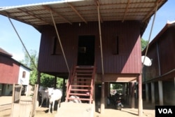 អ្នកស្រី ហម សៀង បាន​យក​ប្រាក់​ដែល​កូន​ផ្ញើ​ពី​ប្រទេស​កូរ៉េ ដើម្បី​ជួសជុល​ផ្ទះ ដែល​ស្ថិត​នៅ​ក្នុង​ឃុំ​ព្រែកអាជី ខេត្តកំពង់ចាម។ (ស៊ុន ណារិន/VOA)