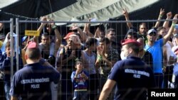 Migranti iz Sirije u izbegličkom kampu Roske u Mađarskoj, 28. avgusta 2015.