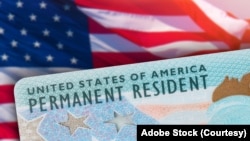 美国绿卡(Adobe Stock)