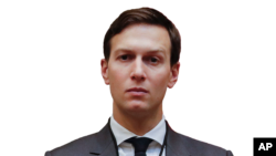 Джаред Кушнер