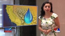 Kaliforniyada to'rt yildan beri qurg'oqchilik