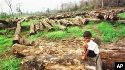 របាយការណ៍​មួយ​របស់​អ្នកស្រាវជ្រាវ​អាមេរិក​ដែល​ត្រូវ​បានផ្សព្វផ្សាយ​កាលពី​ថ្ងៃទី​១៥​ខែវិច្ឆិកា​នេះ ​ព្រៃឈើ​នៅ​ក្នុង​ប្រទេស​កម្ពុជា​ត្រូវ​កាប់​បំផ្លាញ​និង​ធ្វើឲ្យ​បាត់បង់​យ៉ាងតិច​ចំនួន​៧​​ភាគ​រយ​​ក្នុង​រយៈពេល​១២​ឆ្នាំ​ចុងក្រោយ​នេះ។