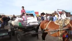 የኢትዮጵያና ኤርትራ ነጋዴዎች - በአስመራ