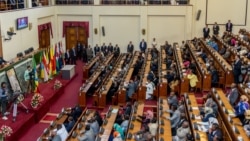 የኢትዮጵያ ሕዝብ ተወካዮች ምክር ቤት በጋምቤላ ክልል በተፈጸው ጥቃት የሁለት ቀናት ብሄራዊ የሐዘን ቀን አውጇል