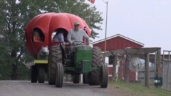 Традиції Гелловіну у цифрах: Як гарбуз став символом свята мертвих. Відео