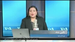 د ننۍ بي بي شیرینې خپرونې موضوع ګانې:
