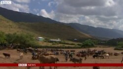 መንግስቲ ኢትዮጵያ ንጸብጻብ ቢቢሲ ነጺግዎ