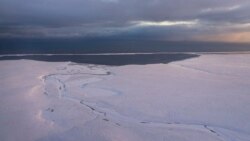 Presidente Trump y ecologistas protagonizarán enfrentamiento por recursos de Alaska